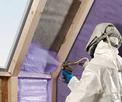 Best Eco-Friendly Insulation Solutions  in Salida, CO